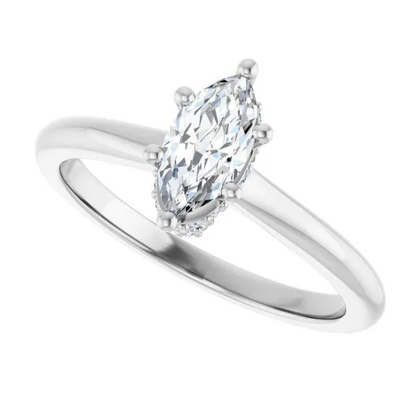 Hidden Halo-Style Engagement Ring Image 5 The Ring Austin Round Rock, TX