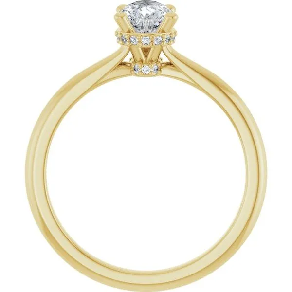 Hidden Halo-Style Engagement Ring Image 2 J. Thomas Jewelers Rochester Hills, MI