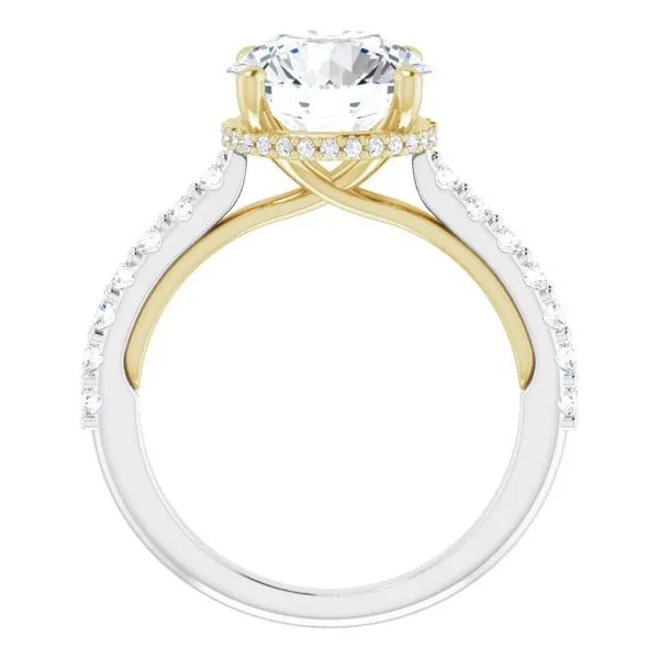 Hidden Halo-Style Engagement Ring Image 2 Futer Bros Jewelers York, PA