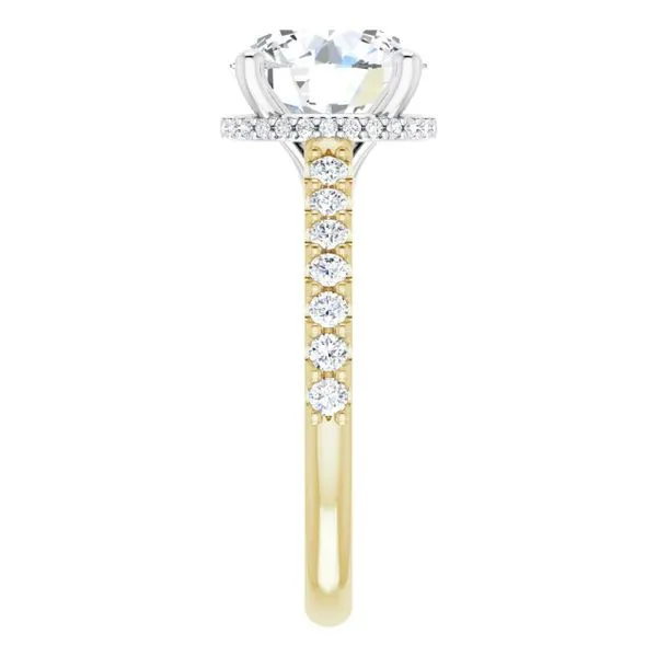 Hidden Halo-Style Engagement Ring Image 4 Clater Jewelers Louisville, KY