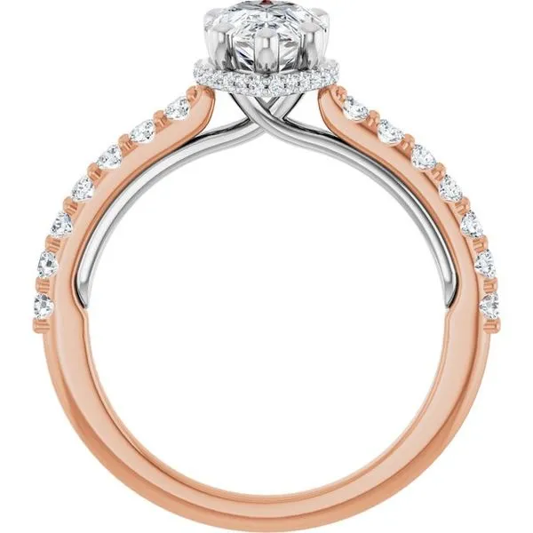 Hidden Halo-Style Engagement Ring Image 2 Clater Jewelers Louisville, KY