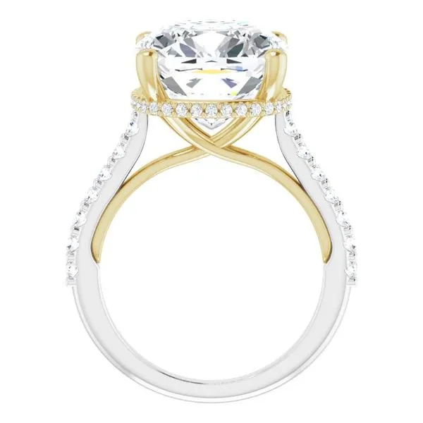 Hidden Halo-Style Engagement Ring Image 2 Clater Jewelers Louisville, KY