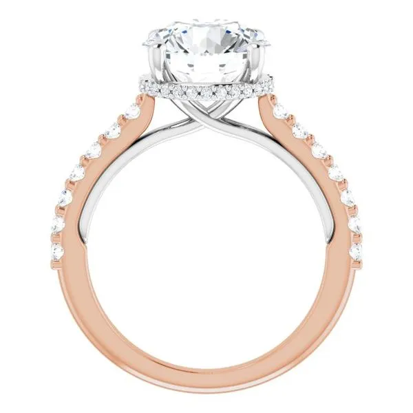 Hidden Halo-Style Engagement Ring Image 2 Clater Jewelers Louisville, KY