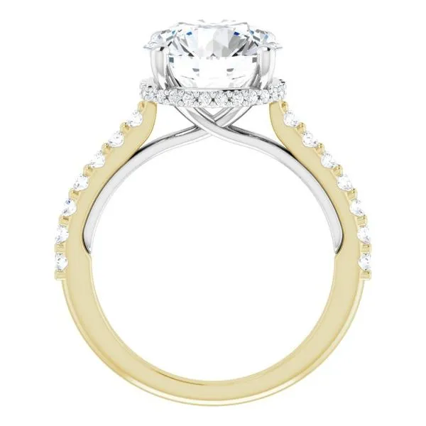 Hidden Halo-Style Engagement Ring Image 2 Clater Jewelers Louisville, KY