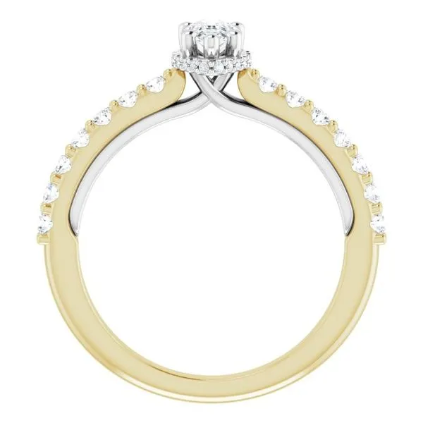 Hidden Halo-Style Engagement Ring Image 2 Clater Jewelers Louisville, KY