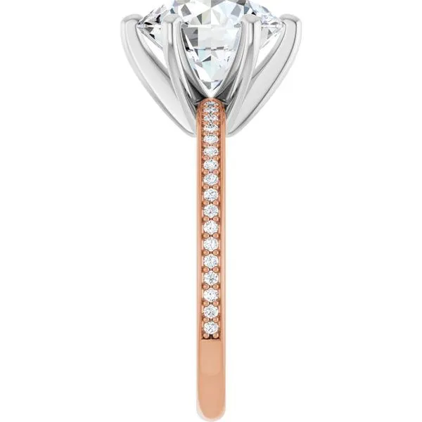 Solitaire Engagement Ring Image 4 Shipley's Fine Jewelry Hampstead, MD