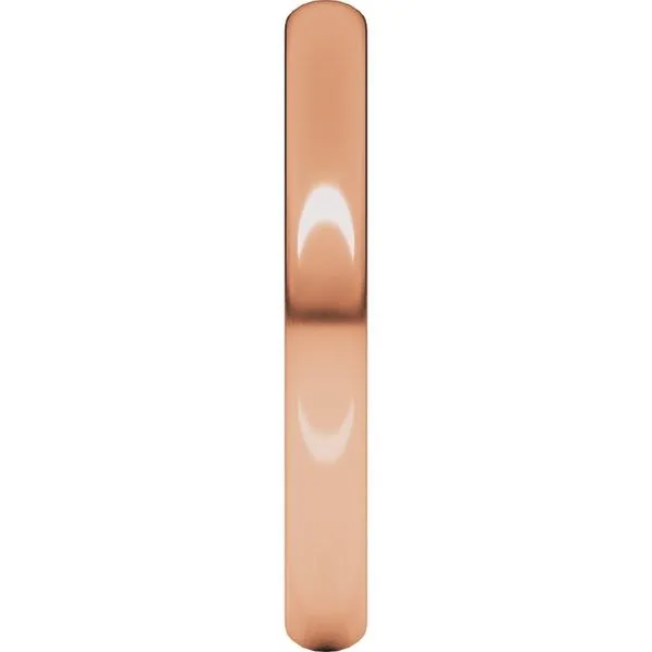 Lightweight Half Round Band Image 4 Diamonds By Dawn Riverdale, NJ