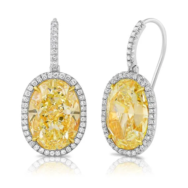 Uneek Natureal Collection Halo Oval Yellow Diamond Drop Earrings Diamond Source Jewelers Greenwood Village, CO