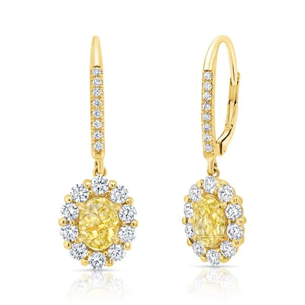 Uneek Natureal Collection Halo Oval Yellow Diamond Drop Earrings Diamond Source Jewelers Greenwood Village, CO