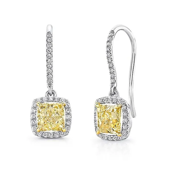 Uneek Natureal Collection Halo Drop Earrings Diamond Source Jewelers Greenwood Village, CO