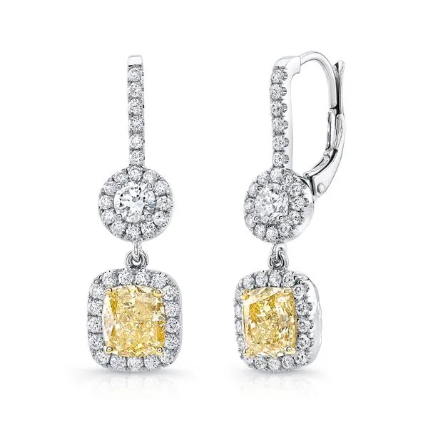 Uneek Natureal Collection Halo Drop Earrings Diamond Source Jewelers Greenwood Village, CO