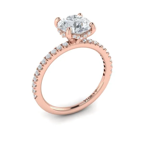 Delicate Classic Hidden Halo Engagement Ring James & Williams Jewelers Berwyn, IL