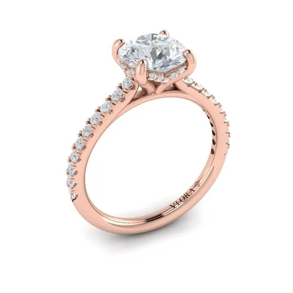 Classic Cathedral Engagement Ring with a Hidden Halo James & Williams Jewelers Berwyn, IL