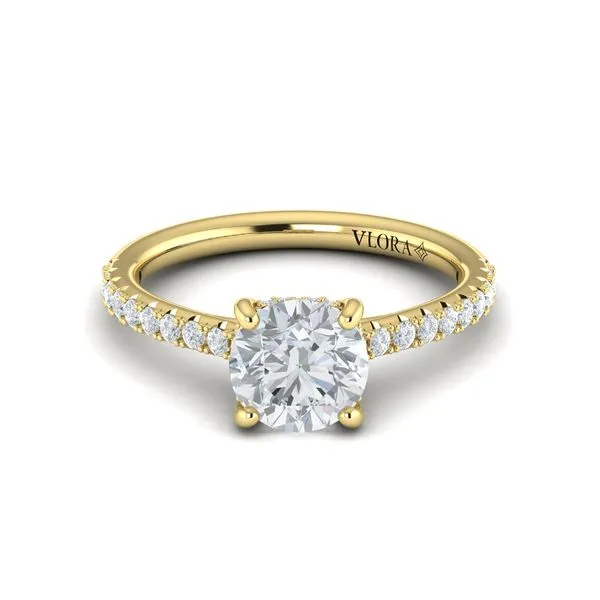 Classic Cathedral Engagement Ring with a Hidden Halo Image 2 James & Williams Jewelers Berwyn, IL
