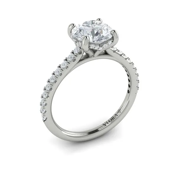 Classic Cathedral Engagement Ring with a Hidden Halo James & Williams Jewelers Berwyn, IL