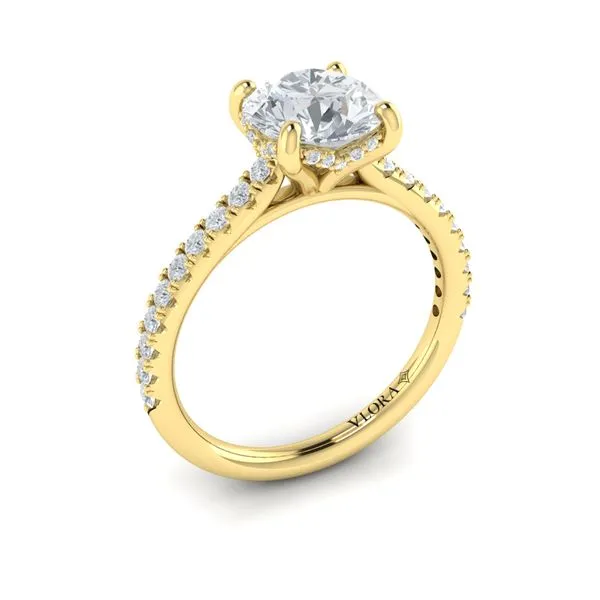 Classic Cathedral Engagement Ring with a Hidden Halo James & Williams Jewelers Berwyn, IL