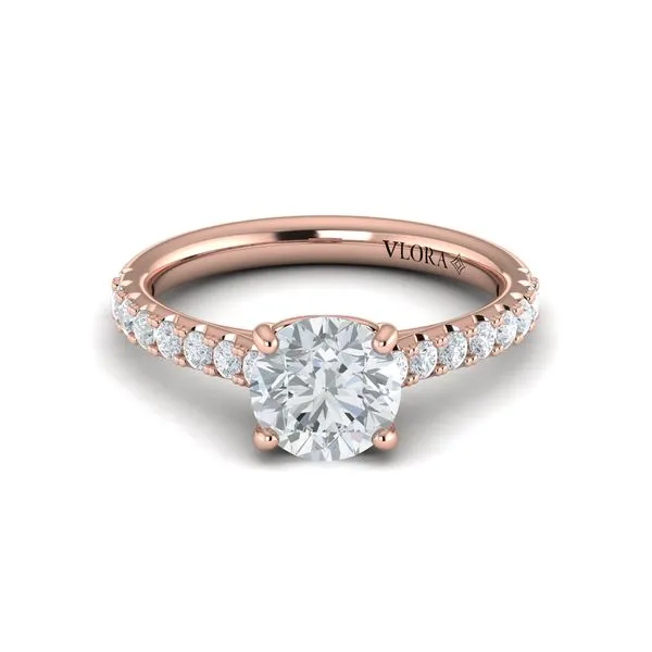 Classic Cathedral Engagement Ring Image 2 James & Williams Jewelers Berwyn, IL