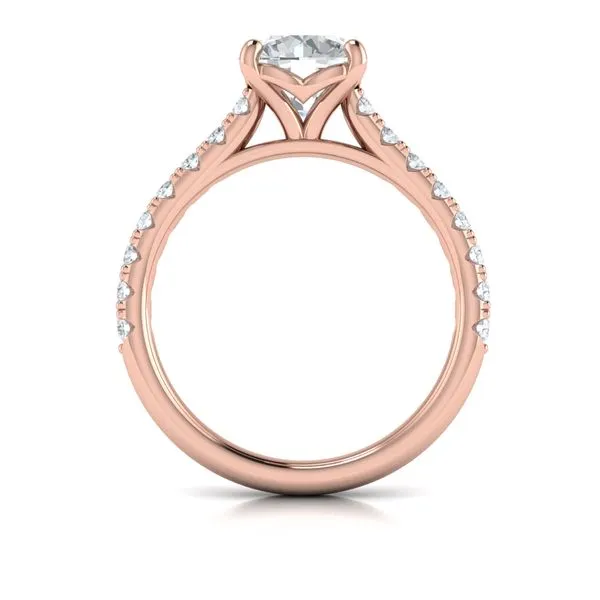 Classic Cathedral Engagement Ring Image 3 James & Williams Jewelers Berwyn, IL