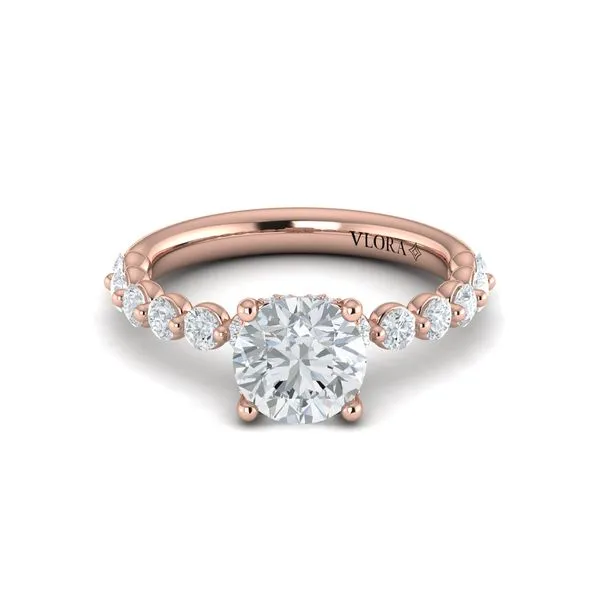 Classic Round Engagement Ring with Floating Diamond Band Image 2 James & Williams Jewelers Berwyn, IL