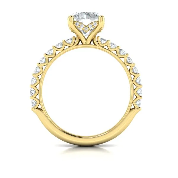 Woven Elegance Hidden Halo Round Engagement Ring Image 3 James & Williams Jewelers Berwyn, IL