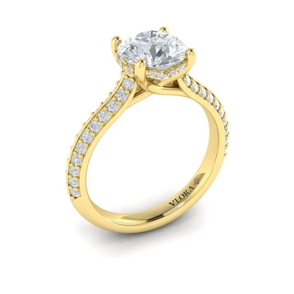 Harmony Hidden Halo Engagement Ring James & Williams Jewelers Berwyn, IL