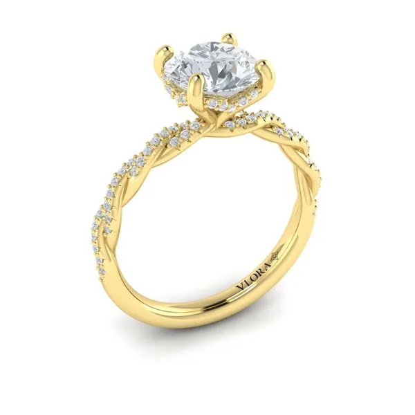 Entwined Engagement Ring James & Williams Jewelers Berwyn, IL