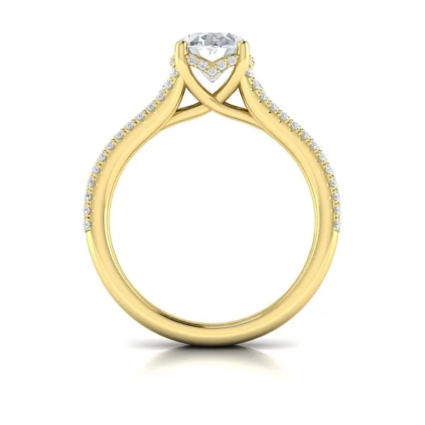 Bold Cathedral Oval Diamond Engagement Ring Image 3 James & Williams Jewelers Berwyn, IL