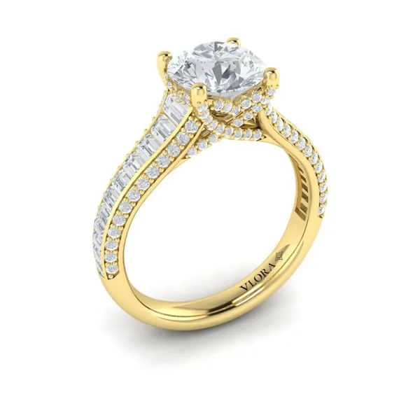 Dramatic Cathedral Hidden Halo Engagement Ring James & Williams Jewelers Berwyn, IL