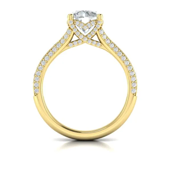 Dramatic Cathedral Hidden Halo Engagement Ring Image 3 James & Williams Jewelers Berwyn, IL