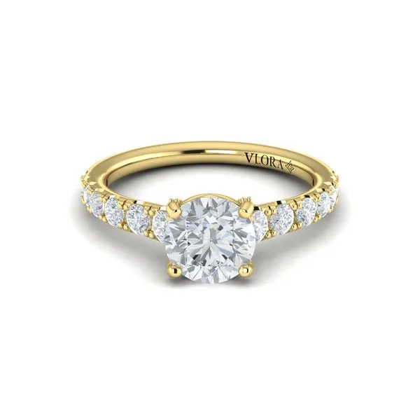 Aspire Engagement Ring Image 2 James & Williams Jewelers Berwyn, IL