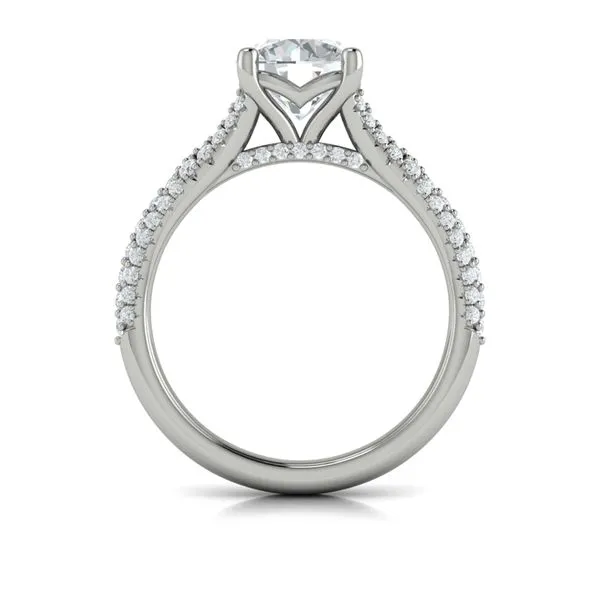 Splendid Cathedral Split Shank Engagement Ring Image 3 James & Williams Jewelers Berwyn, IL