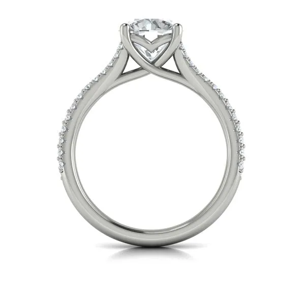 Splendid Cathedral Split Shank Engagement Ring Image 3 James & Williams Jewelers Berwyn, IL