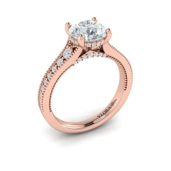 Intricate Hidden Halo Engagement Ring James & Williams Jewelers Berwyn, IL