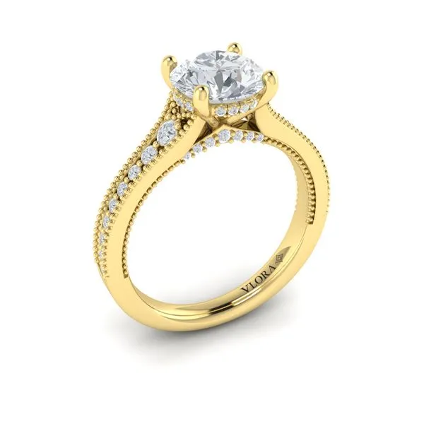 Intricate Hidden Halo Engagement Ring James & Williams Jewelers Berwyn, IL