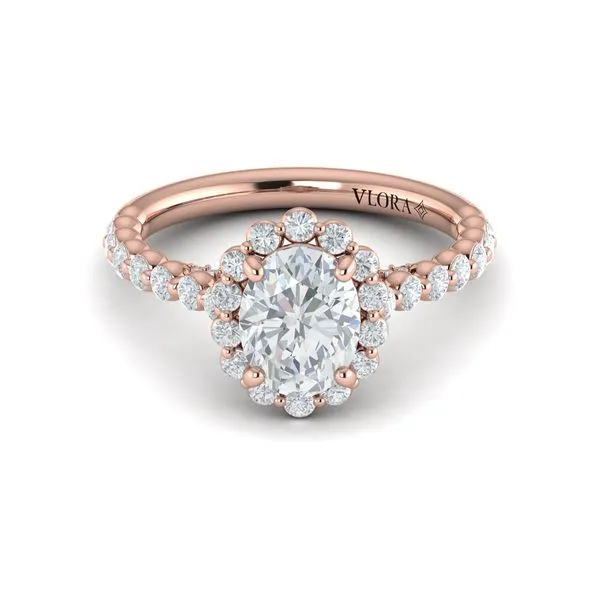 Floating Halo Oval Engagement Ring Image 2 James & Williams Jewelers Berwyn, IL