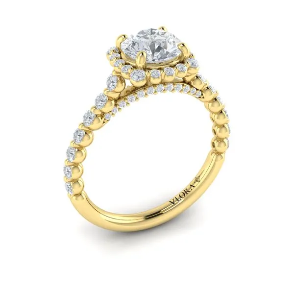 Floating Halo Round Engagement Ring James & Williams Jewelers Berwyn, IL