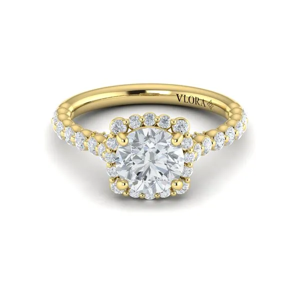 Floating Halo Round Engagement Ring Image 2 James & Williams Jewelers Berwyn, IL