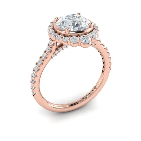 Cathedral Arch Halo Round Engagement Ring James & Williams Jewelers Berwyn, IL