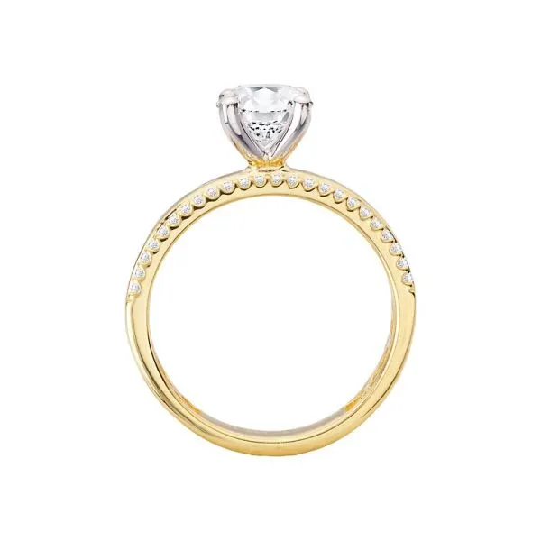 Romance Wide Band 1/5ctw Semi-Mount Diamond Engagement Ring Size 6