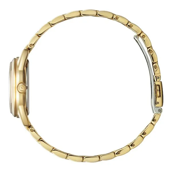 Citizen Eco Drive Weekender Watch EM0682-74A