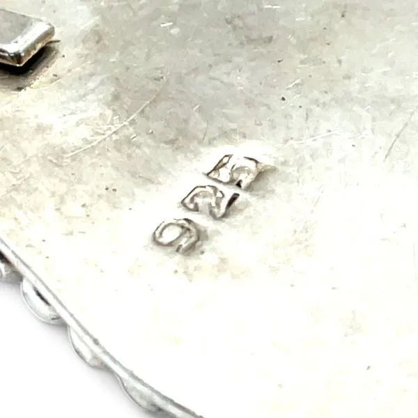 Sterling Silver Dangling Teardrop Earrings with Silicone Backs