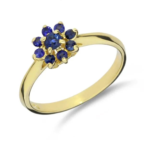 18K Yellow Gold .47ctw Blue Sapphire Halo Ring Purple Creek Holly Springs, NC