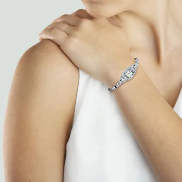 Wittnauer Platinum and 1.00ctw Natural Diamond Watch Image 2 Purple Creek Holly Springs, NC