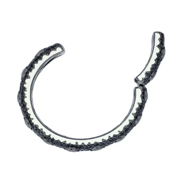 Matthew Campbell Laurenza Black Rhodium Sterling Silver Topaz & Spinel Enamel Bangle Image 3 Purple Creek Holly Springs, NC