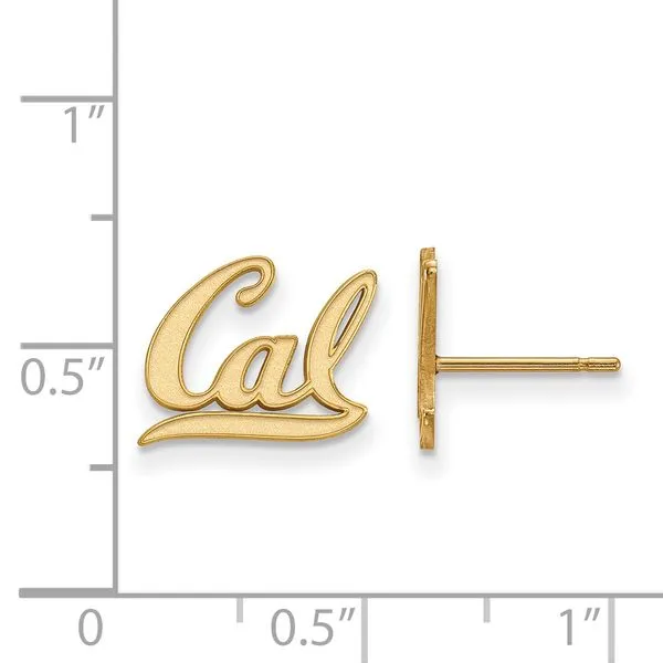 Collegiate University of Pittsburgh Lapel Pin