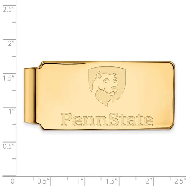 Collegiate University of South Carolina Bracelet Bead