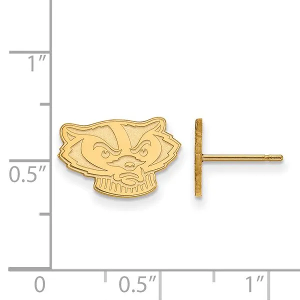 Collegiate University of South Carolina Bracelet Bead