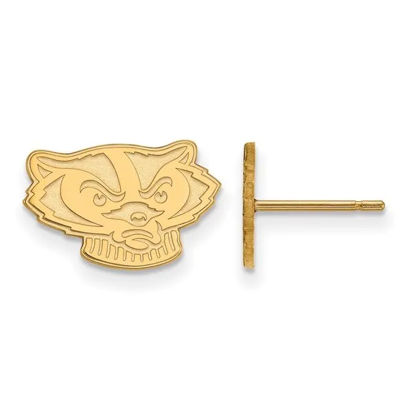 Collegiate University of South Carolina Bracelet Bead