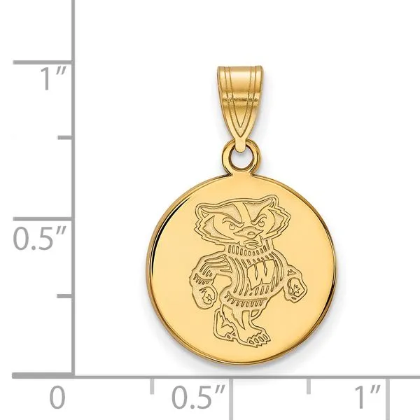Collegiate University of Michigan Money Clip