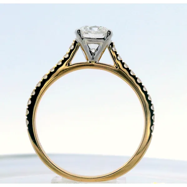 Engagement Rings